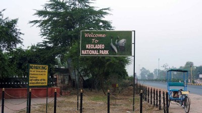 Golden Triangle Tour with Bharatpur Bird Sanctuary