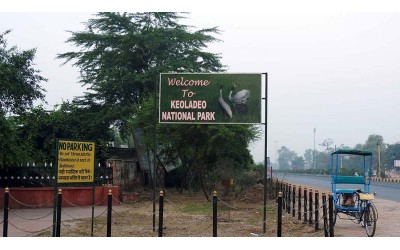 Golden Triangle Tour with Bharatpur Bird Sanctuary